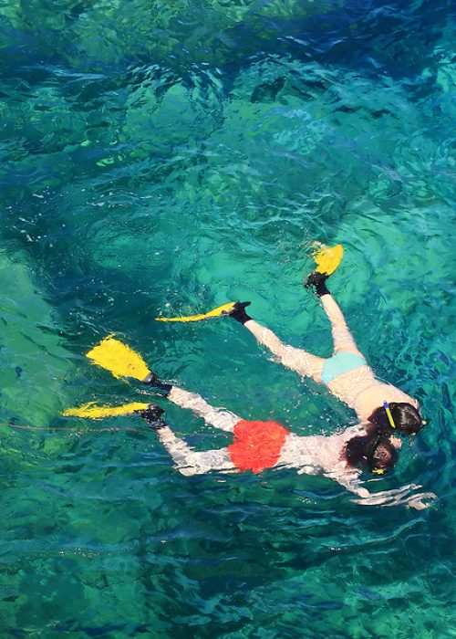 snorkelling